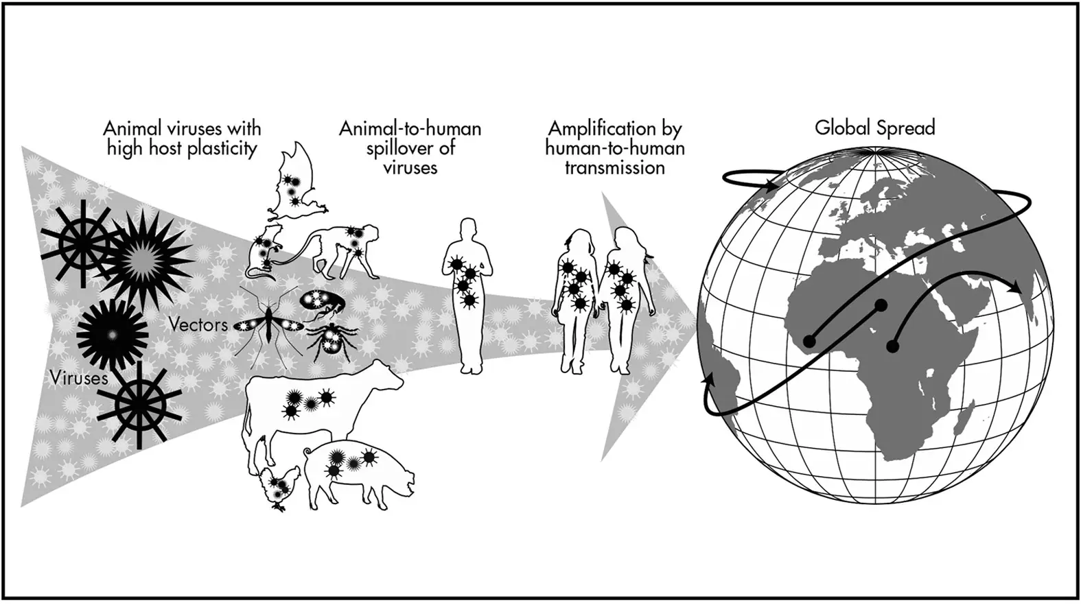 zoonotic disease spillover