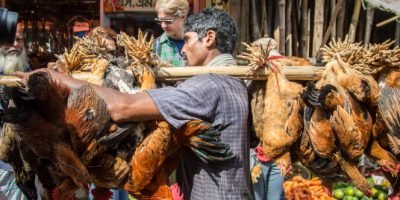 man carrying chickens at a market